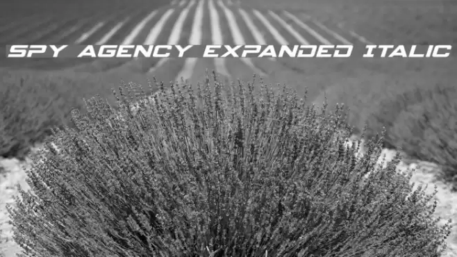Spy Agency Expanded Italic Font examples