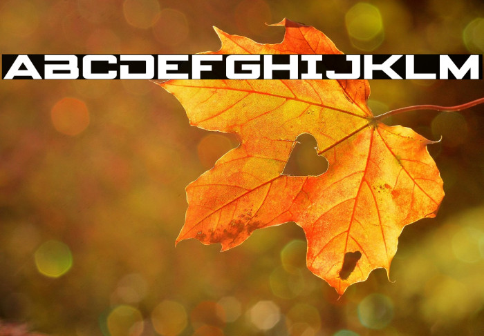 Spy Agency Expanded Example 3