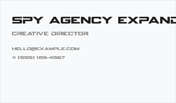 Spy Agency Expanded Business Card