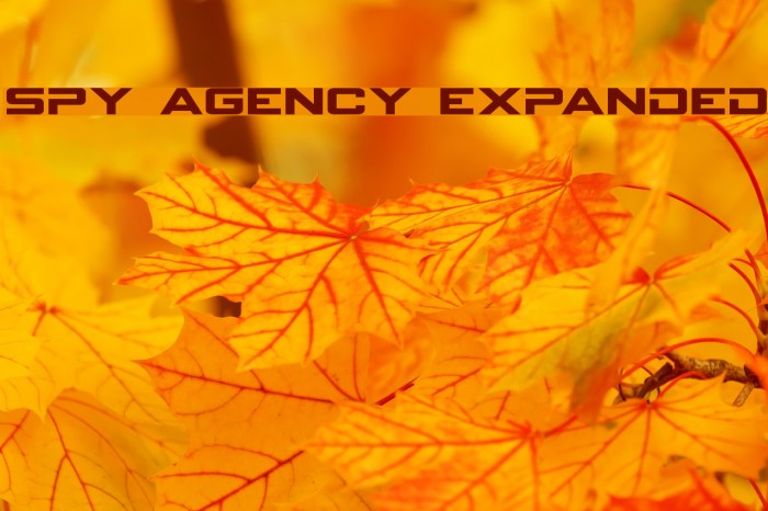 Spy Agency Expanded Font examples
