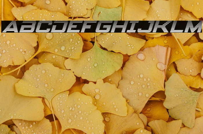 Spy Agency Gradient Italic Example 2