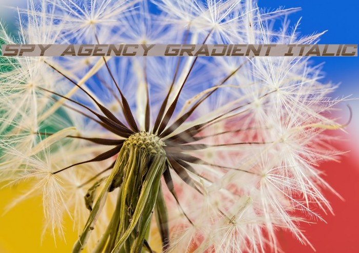 Spy Agency Gradient Italic Example 1