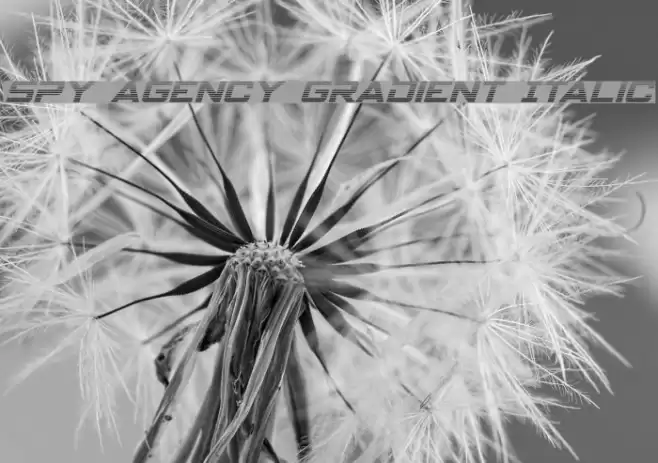 Spy Agency Gradient Italic Font examples