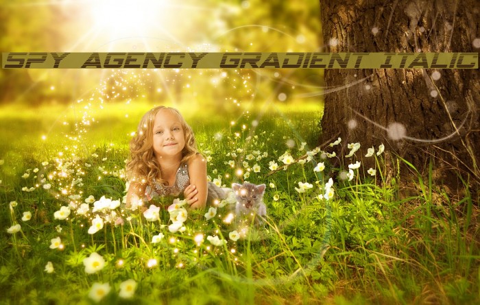 Spy Agency Gradient Italic Example 3
