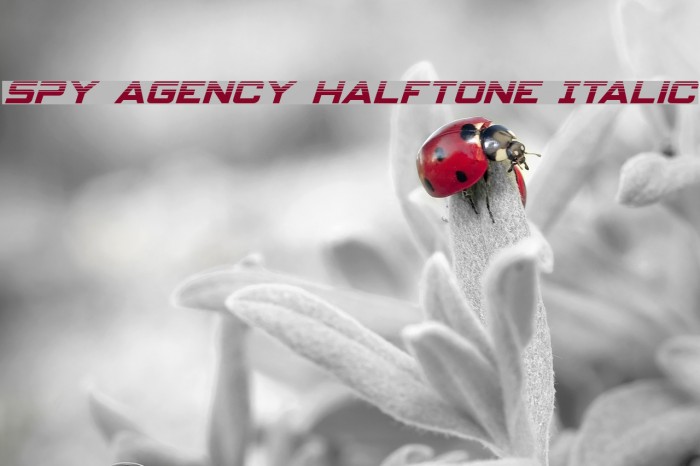 Spy Agency Halftone Italic Example 1