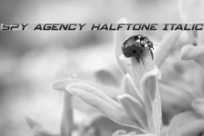 Spy Agency Halftone Italic Font examples