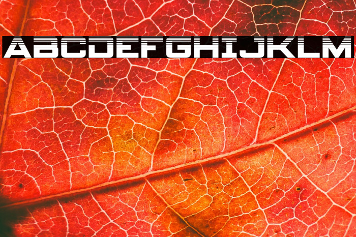 Spy Agency Halftone Example 1