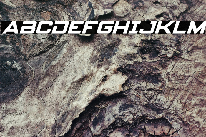 Spy Agency Italic Example 1