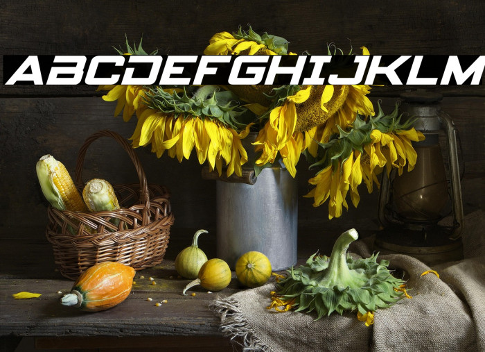 Spy Agency Italic Example 2