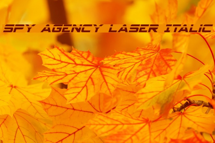 Spy Agency Laser Italic Example 2