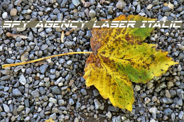 Spy Agency Laser Italic Example 3