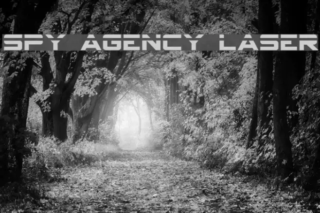 Spy Agency Laser Font examples