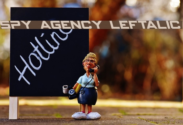 Spy Agency Leftalic Example 2