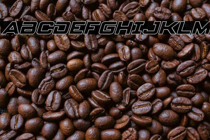 Spy Agency Outline Italic Example 1