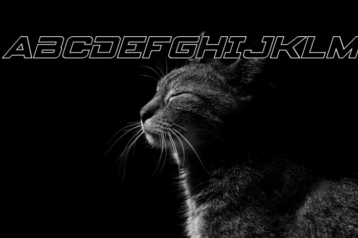 Spy Agency Outline Italic Example 3