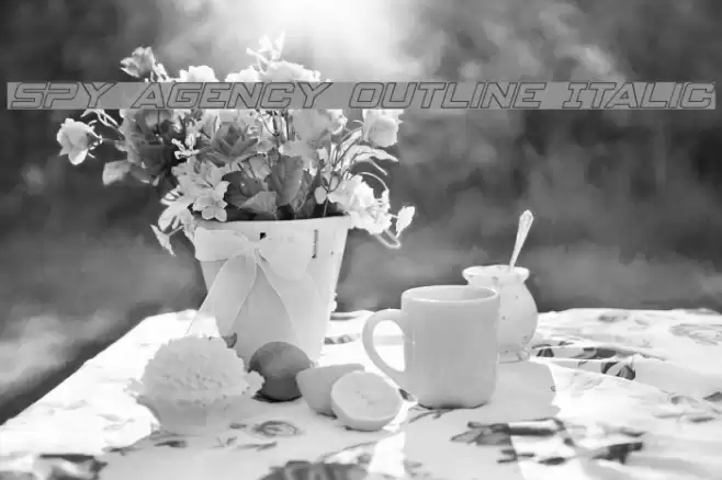 Spy Agency Outline Italic Font examples