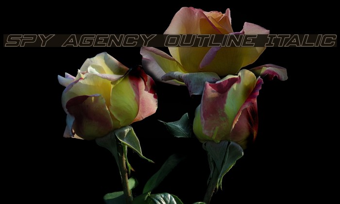 Spy Agency Outline Italic Font examples
