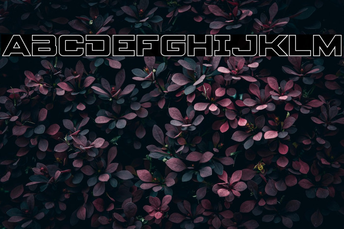 Spy Agency Outline Example 1