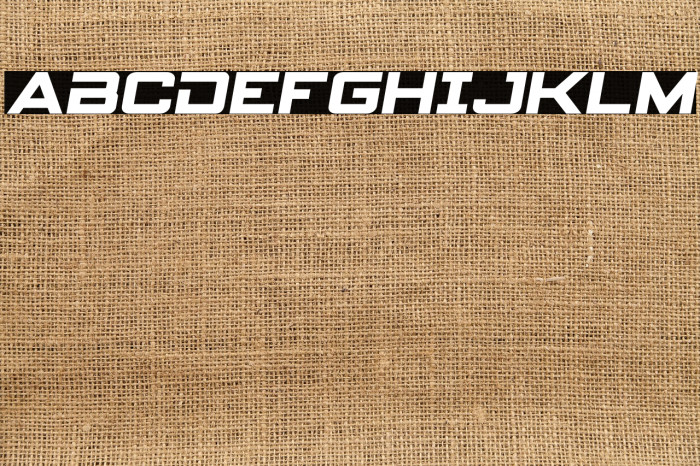 Spy Agency Semi-Italic Example 2