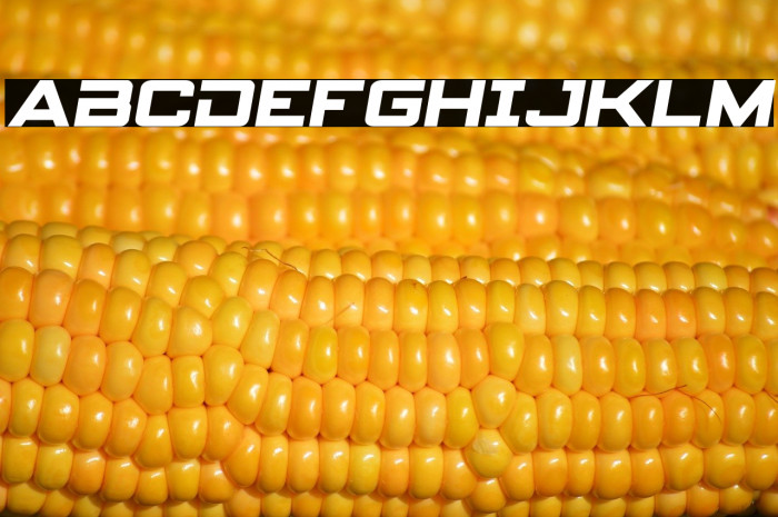 Spy Agency Semi-Italic Example 3