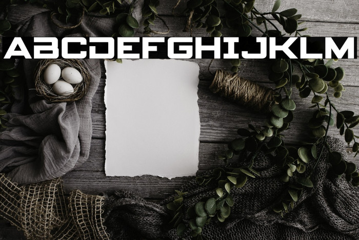 Spy Agency Example 2