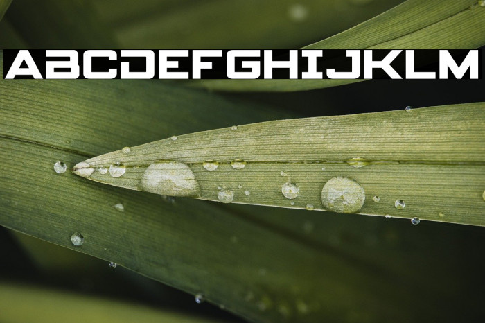 Spy Agency Example 3