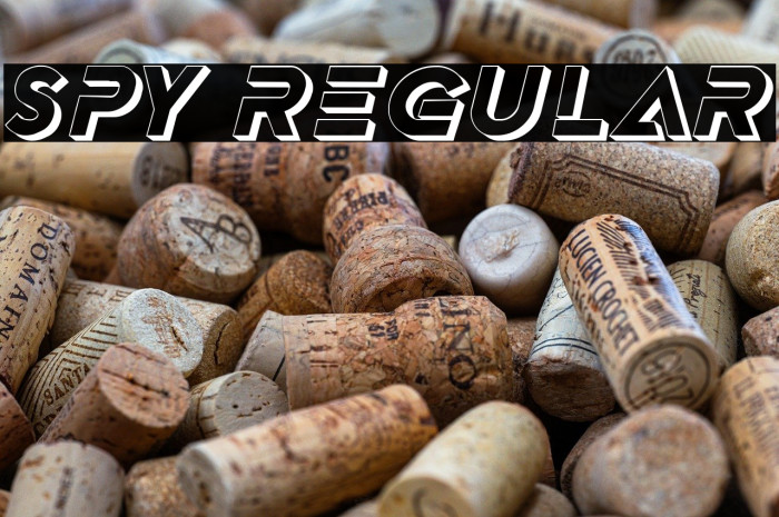 Spy Regular Example 1