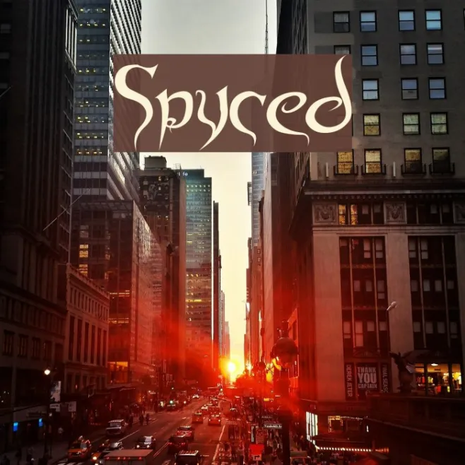 Spyced Example 2