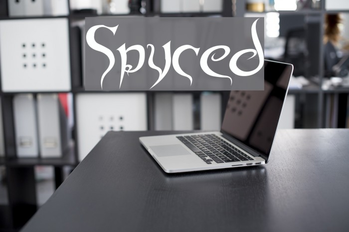 Spyced Font examples
