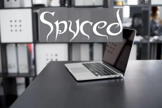 Spyced Example 3