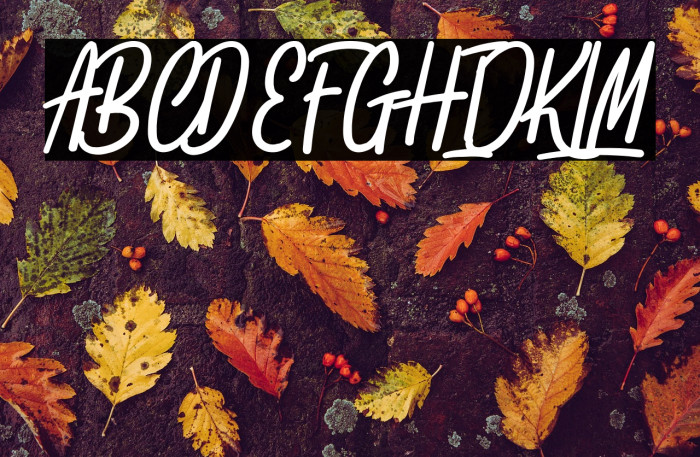 SpydollsDemo Example 1