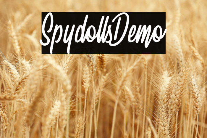 SpydollsDemo Example 1