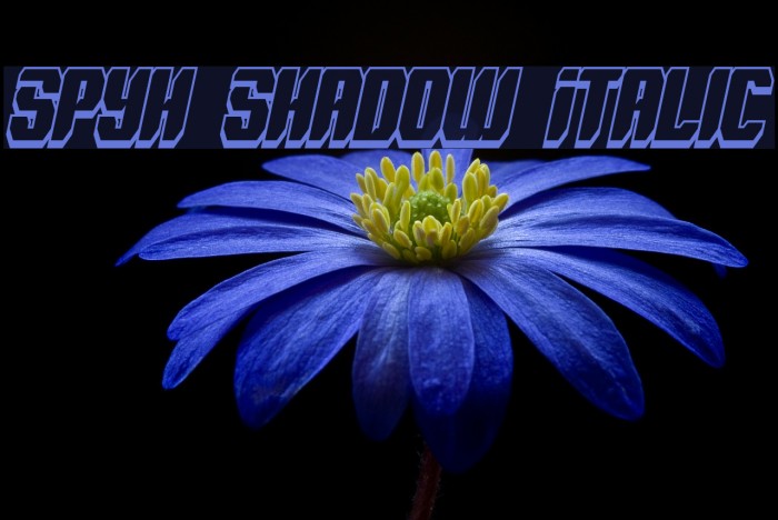 Spyh Shadow Italic Font examples