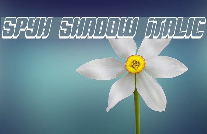 Spyh Shadow Italic Font examples