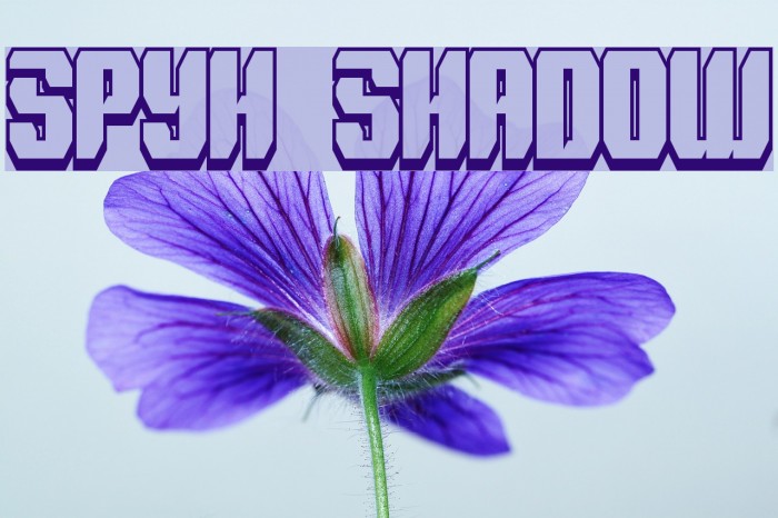 Spyh Shadow Font examples