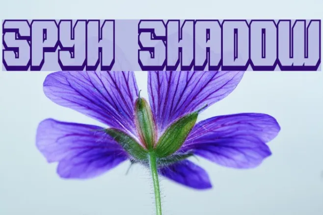 Spyh Shadow Example 1