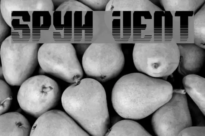 Spyh Vent Font examples