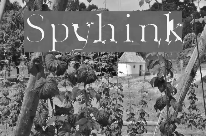 Spyhink Font examples