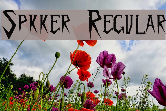Spykker Regular Font examples