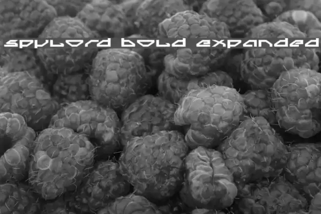 Spylord Bold Expanded Font examples