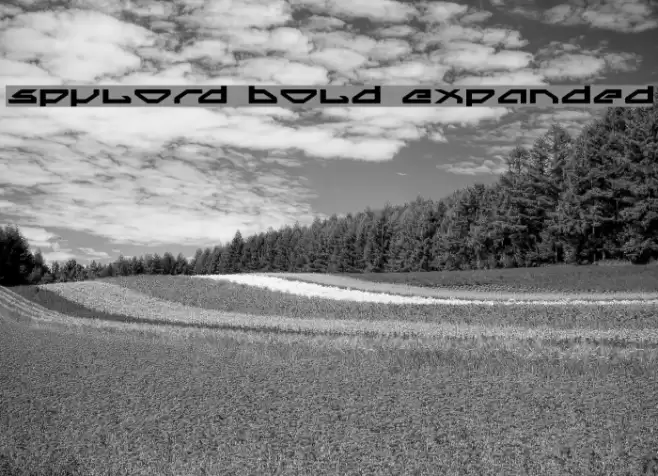 Spylord Bold Expanded Font examples