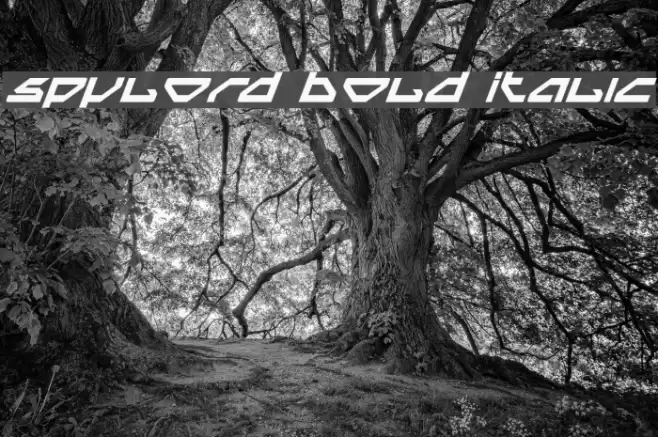 Spylord Bold Italic Font examples