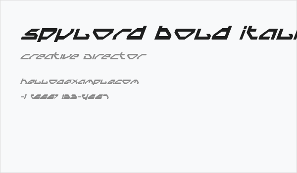 Spylord Bold Italic Business Card