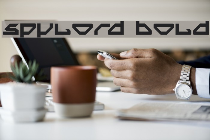 Spylord Bold 字体 examples