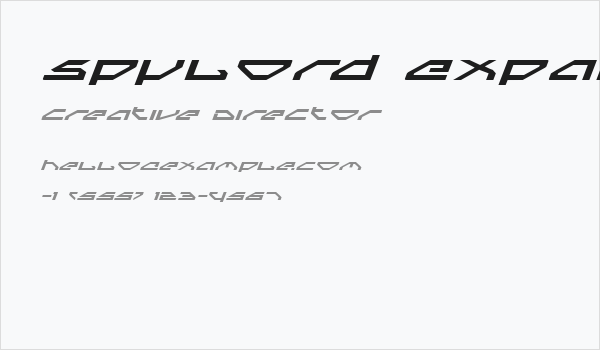 Spylord Expanded Italic Business Card