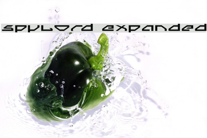 Spylord Expanded Font examples