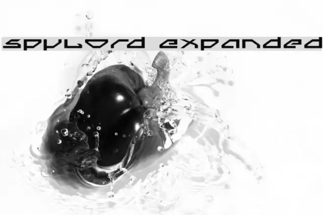 Spylord Expanded Шрифта examples