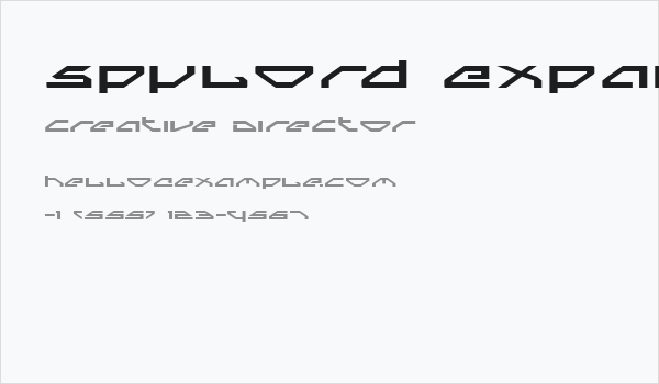Spylord Expanded Business Card