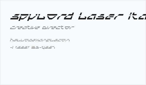 Spylord Laser Italic Business Card