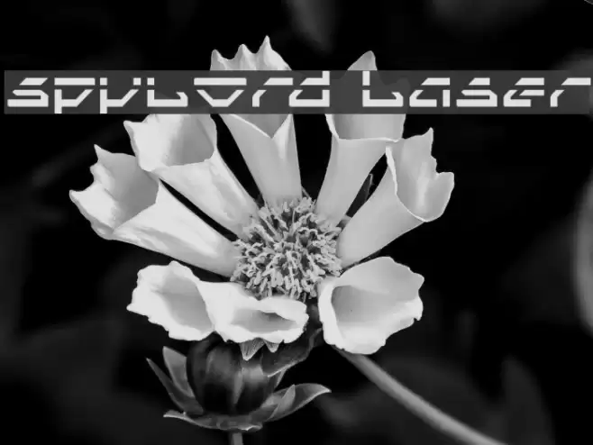 Spylord Laser Font examples